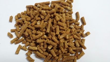 蛋白能量饲料图鉴 解析原料特性与营养价值的视觉指南